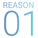 REASON 01