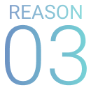 REASON 03